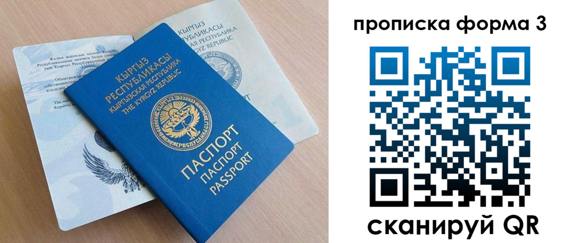 где прописаться в Ленинградской области