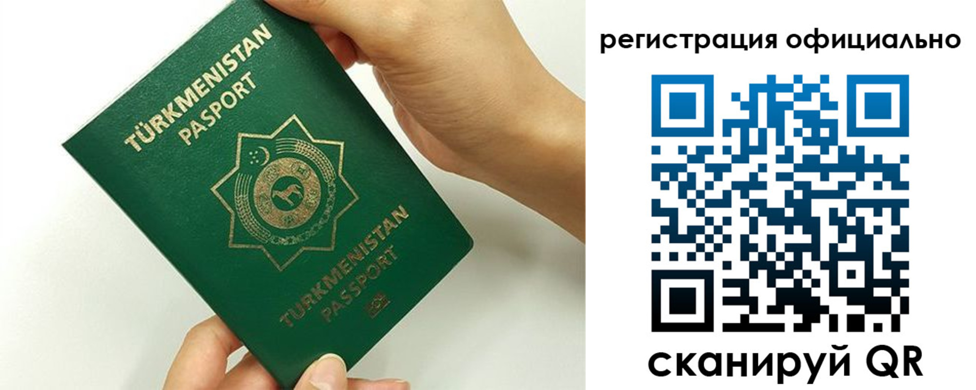 прописка поиск в Ленинградской области
