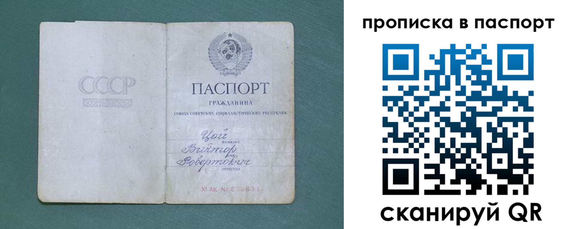 пропишу в квартире в Ленинградской области